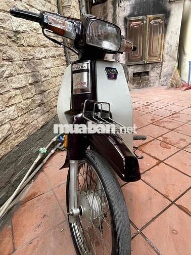 dream việt máy thái