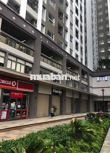 Căn hộ chung cư Richstar 110m2