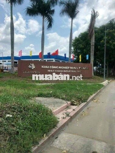 Hot : KDC Tanh yến , đường lớn nhất khu dc Nhựt Chánh Bến Lức Long An