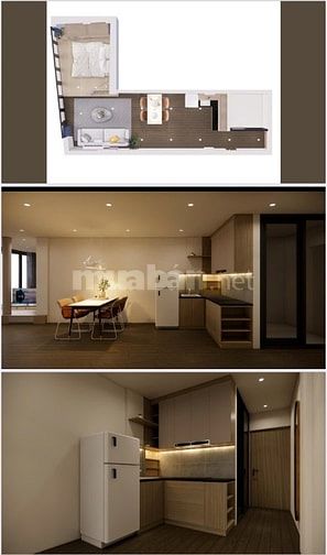 Nhà nguyên căn 4 tầng: gồm 3 căn hộ studio 40m2 và 1 tầng trệt KD