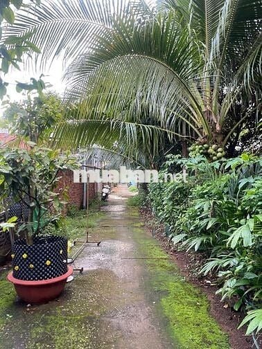 Đất ngay trung tâm Ngãi Giao. Sau lưng UBND xã.