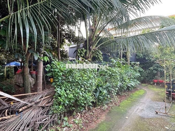 Đất ngay trung tâm Ngãi Giao. Sau lưng UBND xã.