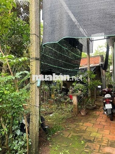 Đất ngay trung tâm Ngãi Giao. Sau lưng UBND xã.