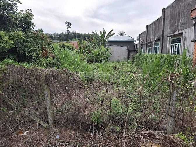 8m mặt tiền đường nhựa thông. Sổ sẵn, có thổ cư. 1,05 tỷ