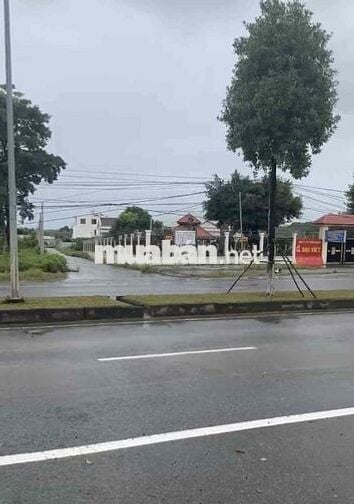 “Bán đất mặt đường lớn Dương Tơ - Phú Quốc | 826m² giá tốt