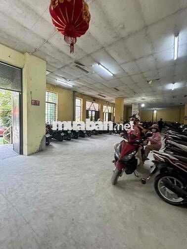 🌟 LÔ GÓC - THANG MÁY - KHU VỰC PHÁT TRIỂN MẠNH - AN SINH ĐỈNH 🌟