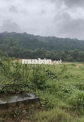 “Bán đất mặt đường lớn Dương Tơ - Phú Quốc | 826m² giá tốt