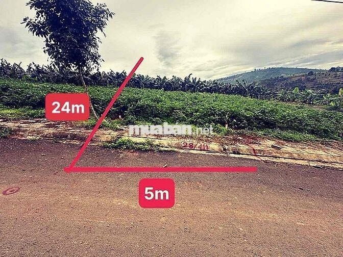 Bán 2 lô đất SHR view đẹp tại Tân Lạc, Bảo Lâm giá chỉ 301 triệu/lô