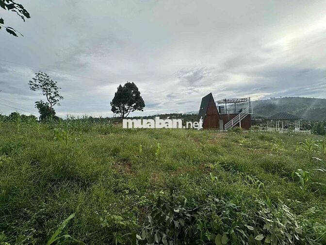 Bán 2 lô đất SHR view đẹp tại Tân Lạc, Bảo Lâm giá chỉ 301 triệu/lô