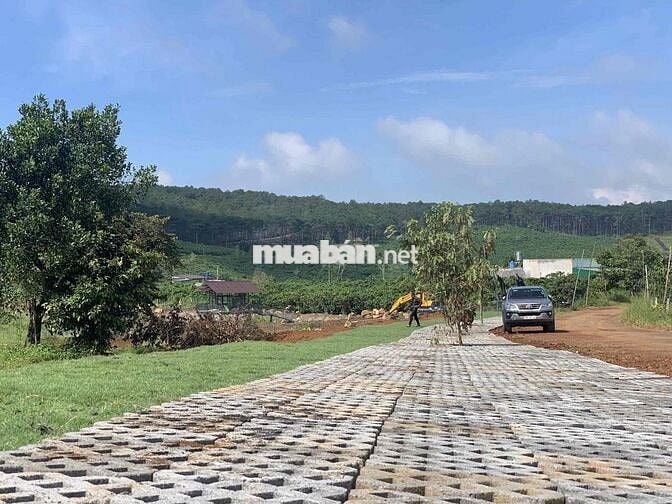 Đất thổ cư 285m2 gần Bảo Lộc giá hơn 7 trăm gần khu nghỉ dưỡng