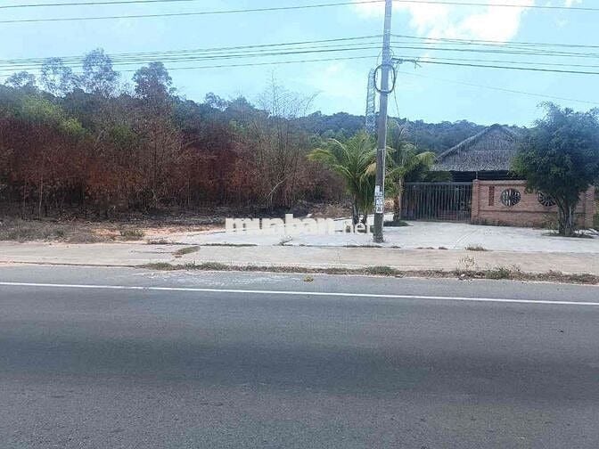 “Bán đất mặt đường lớn Dương Tơ - Phú Quốc | 826m² giá tốt