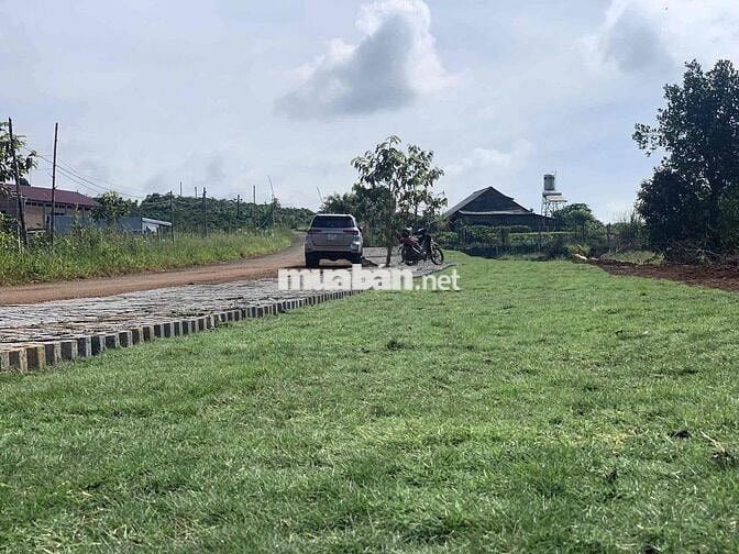 Đất thổ cư 285m2 gần Bảo Lộc giá hơn 7 trăm gần khu nghỉ dưỡng