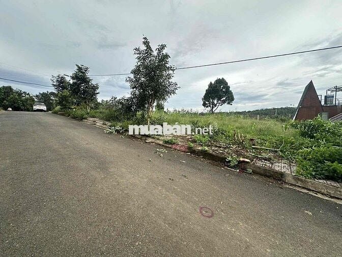 Bán 2 lô đất SHR view đẹp tại Tân Lạc, Bảo Lâm giá chỉ 301 triệu/lô