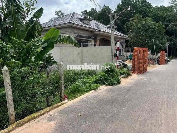 Bán nhà mặt tiền đường Nhựa phường Tương Bình Hiệp, TP Thủ Dầu Một, Bì