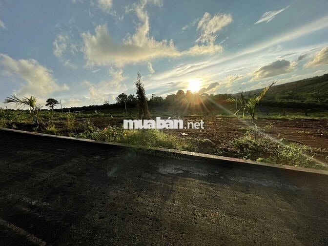 Lô 9C-6 Garden Hill 9C – 192,7m², vị trí đẹp, giá tốt!