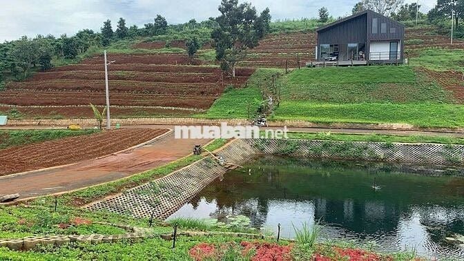 Lô 9C-6 Garden Hill 9C – 192,7m², vị trí đẹp, giá tốt!