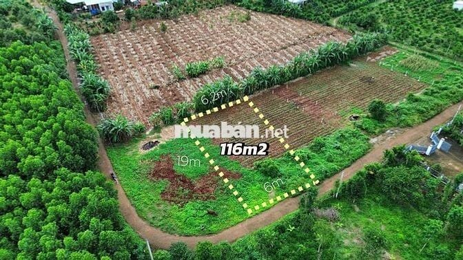 Đất 6x18m xã Kim Long, TP.HCM có 80m² thổ cư, sổ riêng, giá chỉ 580tr