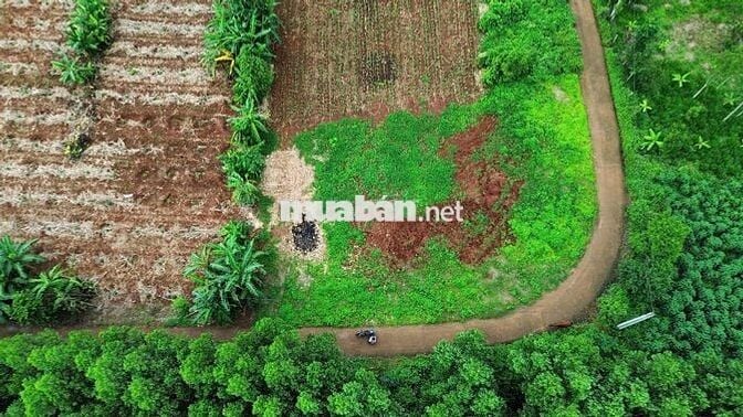 Đất 6x18m xã Kim Long, TP.HCM có 80m² thổ cư, sổ riêng, giá chỉ 580tr