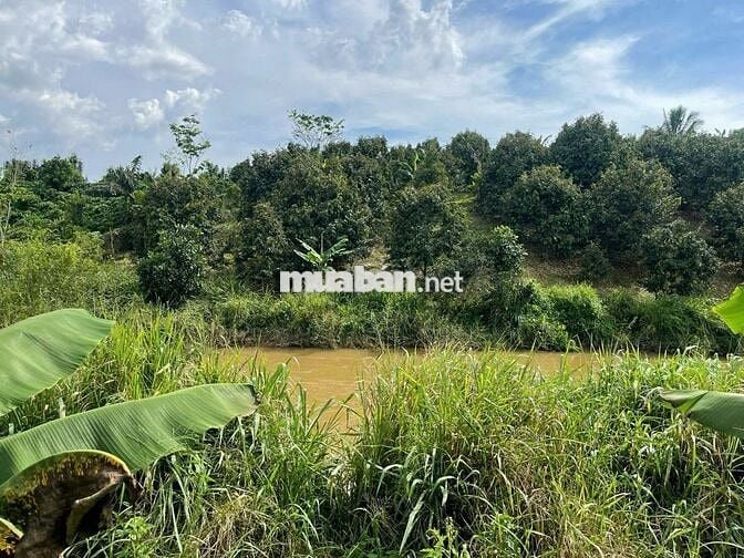 VIEW GIÁP SUỐI BẢO LÂM DT: 1969M2 (16.5X102M) SẴN 200M THỔ CƯ