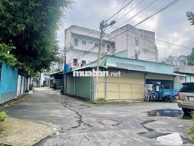 8 tỏi, đất lô góc / hoàng hoa thám hiệp thành