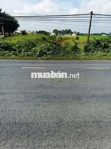 🍀Đất lúa Đc lên fui thổ cư.Dt 1000m giá 2ty7 mặt tiền 818 thủthừa L.A