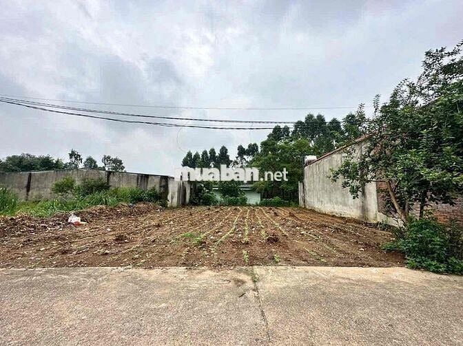 ĐẤT CỔNG CHÀO THANH ĐÌNH 303M2 FULL THỔ CƯ, VỈA HÈ 2M GIÁ ĐẦU TƯ  TỐT