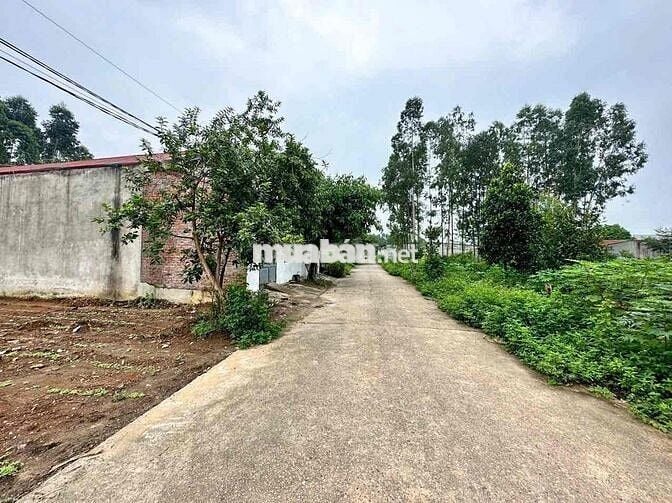 ĐẤT CỔNG CHÀO THANH ĐÌNH 303M2 FULL THỔ CƯ, VỈA HÈ 2M GIÁ ĐẦU TƯ  TỐT