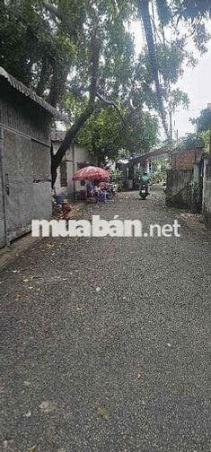 Bán nhà Bùi Quang Là, 25m2, 2 Tầng, 2PN, Kế Emart 2, nhà rộng , TL