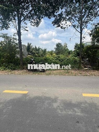 bán đất mặt tiền nhựa ấp 10 lương hoà bến lức long an