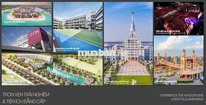 bán chung cư vinhomes oceanpark giá từ CĐT bán chung cư vinhomes oceanpark giá từ CĐT