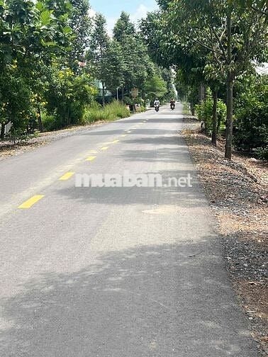 bán đất mặt tiền nhựa ấp 10 lương hoà bến lức long an