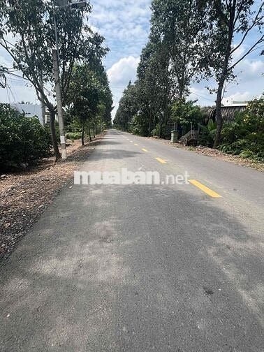 bán đất mặt tiền nhựa ấp 10 lương hoà bến lức long an
