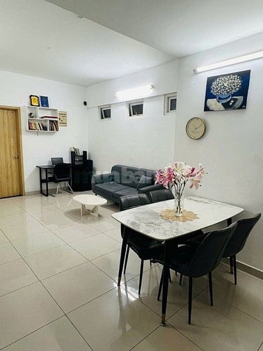 C/c Ruby Gader, Nguyễn Sỹ Sách, TB, 87m2, 2PN, 2WC, 9tr/th.