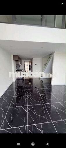 Căn hộ duplex 67m2 tầng trung ở Sunshine Palace 13 Lĩnh Nam