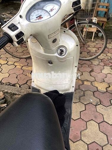 xe elizabeth  đăng ký   năm 2007