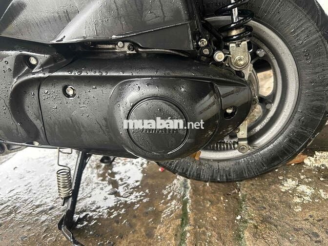 Latte bstp zin nguyên cây máy cực chất bao bao bao