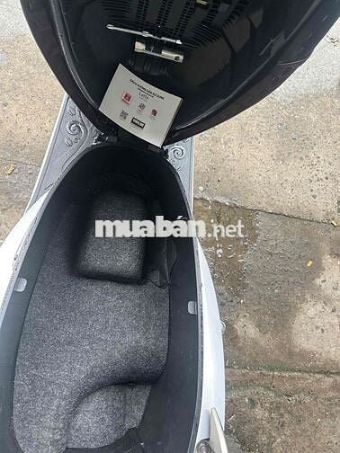 Latte bstp zin nguyên cây máy cực chất bao bao bao