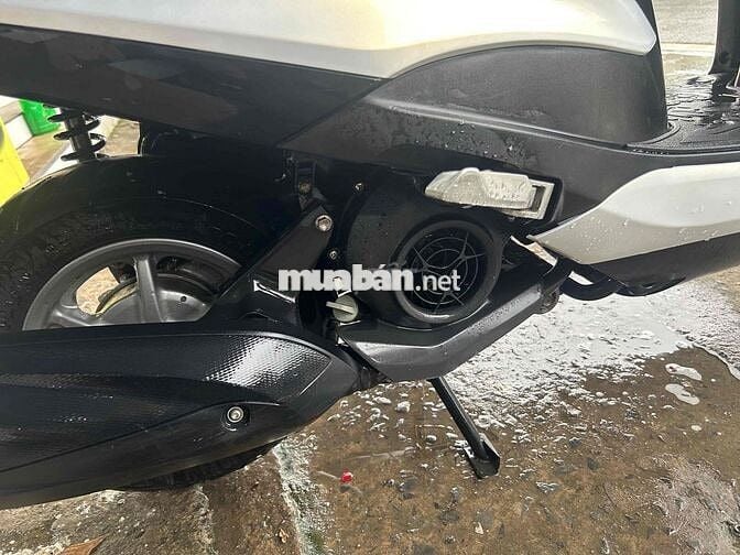 Latte bstp zin nguyên cây máy cực chất bao bao bao