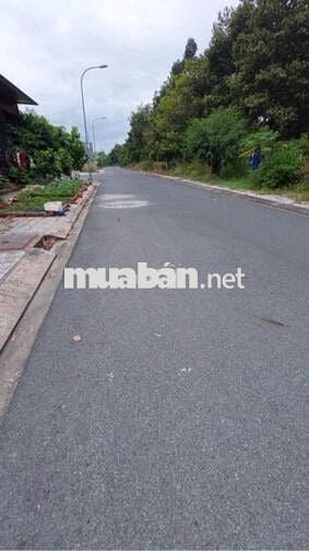 Bán đất chính chủ hạ tầng tuyệt đẹp tại phường Tam Phước, Biên Hòa