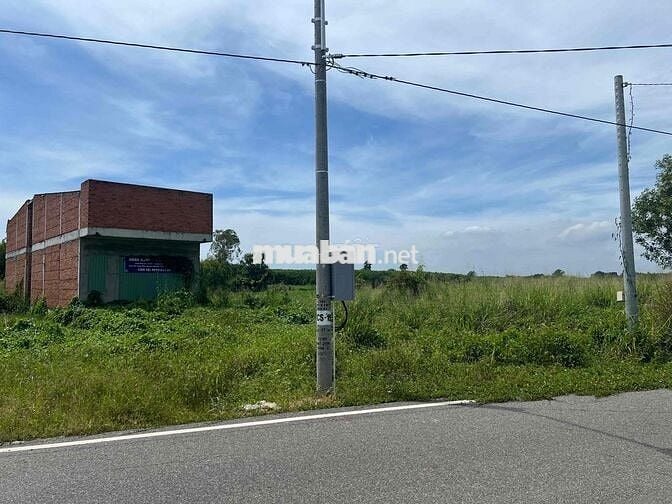 Ngân hàng thanh lý BĐS tại Láng Dài, Đất Đỏ, Bà Rịa - Vũng Tàu 533m2