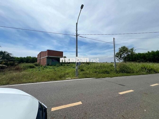 Ngân hàng thanh lý BĐS tại Láng Dài, Đất Đỏ, Bà Rịa - Vũng Tàu 533m2