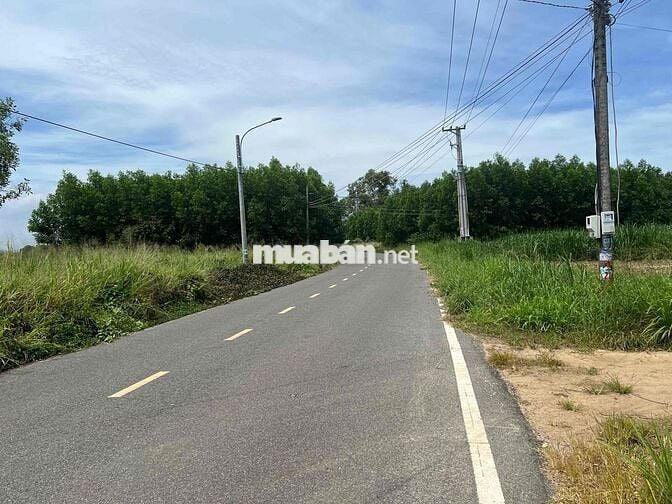 Ngân hàng thanh lý BĐS tại Láng Dài, Đất Đỏ, Bà Rịa - Vũng Tàu 533m2