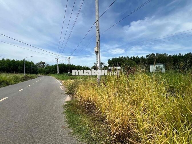 Ngân hàng thanh lý BĐS tại Láng Dài, Đất Đỏ, Bà Rịa - Vũng Tàu 533m2