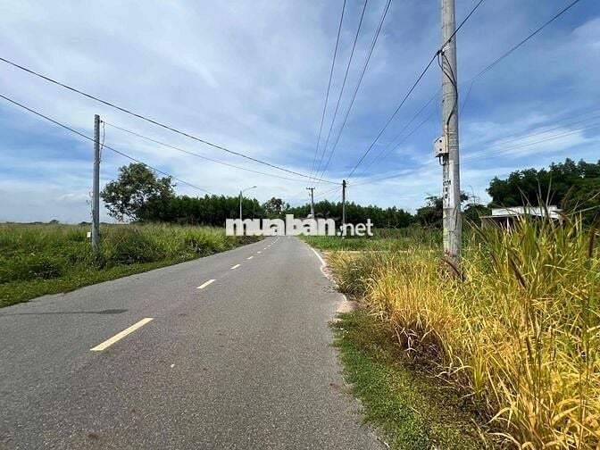 Ngân hàng thanh lý BĐS tại Láng Dài, Đất Đỏ, Bà Rịa - Vũng Tàu 533m2