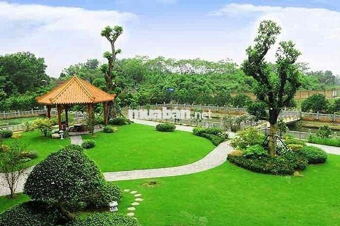 1 SÀO PHỦ HỒNG NGAY PHƯỜNG LONG KHÁNH CẦN BÁN GẤP