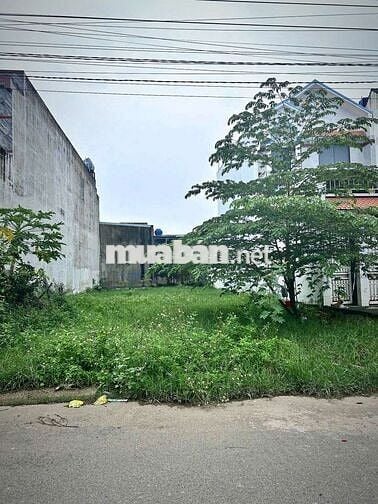 Cần tiền trả nợ nên bán gấp đất KDC chợ ĐỨC HOÀ - 1t350 quay đầu