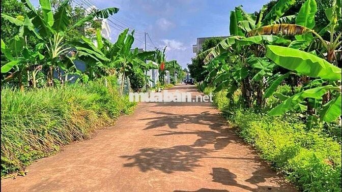 1 SÀO PHỦ HỒNG NGAY PHƯỜNG LONG KHÁNH CẦN BÁN GẤP