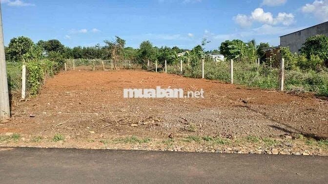 1 SÀO PHỦ HỒNG NGAY PHƯỜNG LONG KHÁNH CẦN BÁN GẤP