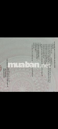 Mình cần bán đất Mặt tiền đường 9m , Tân trụ ,Long an