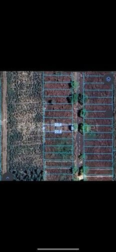 🔥Siêu Hót Đất bán Trảng Bom ,Gần sân bay Long Thành chỉ nhỉnh 3,5 Tỏi